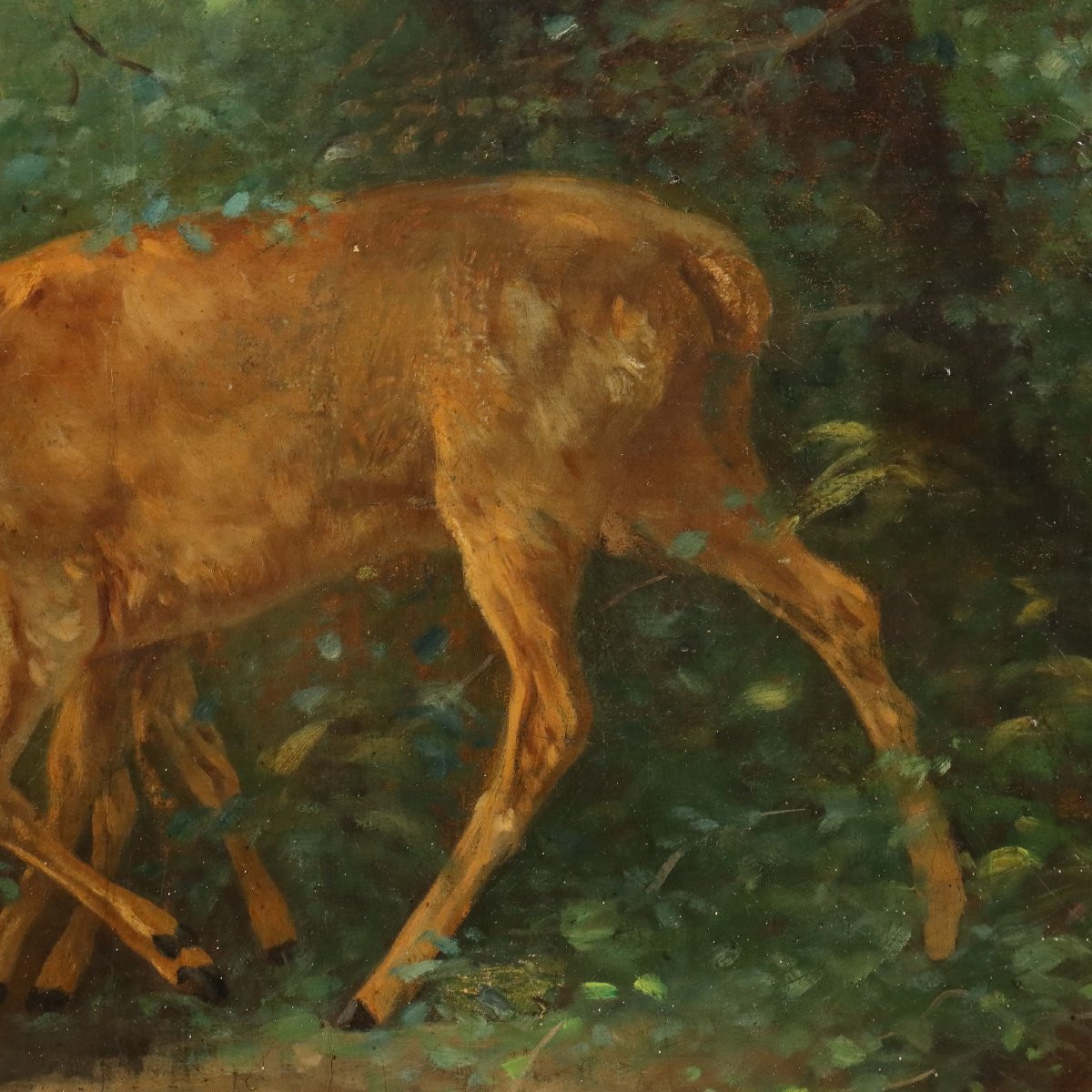 Tableau Ancien Cerf dans le Bois Huile sur Toile France XIXe Siècle-photo-1