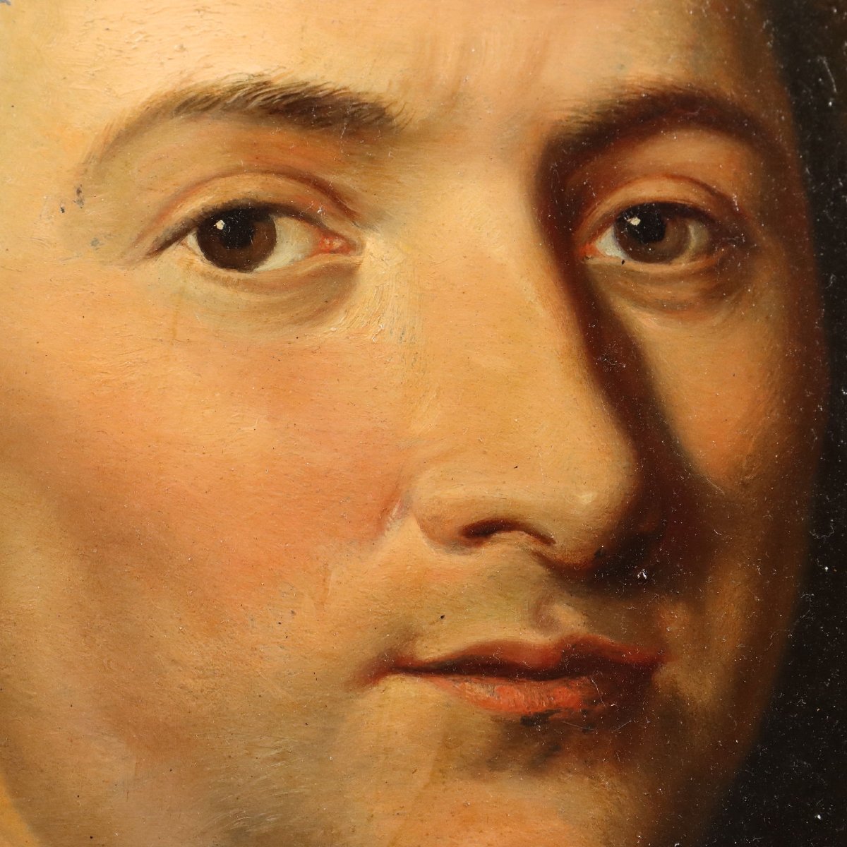 Tableau Ancien Portrait de Petrus Camper Huile sur Panneau '700-photo-4