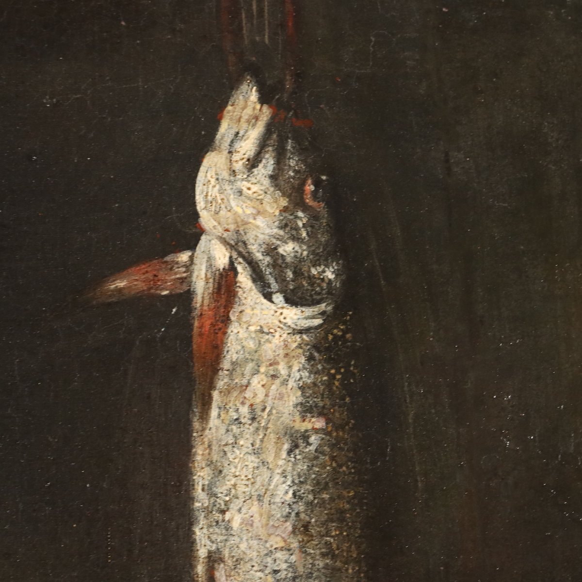 Antique Painting Still Life With Fishes And Snails Oil On Canvas '600-photo-5