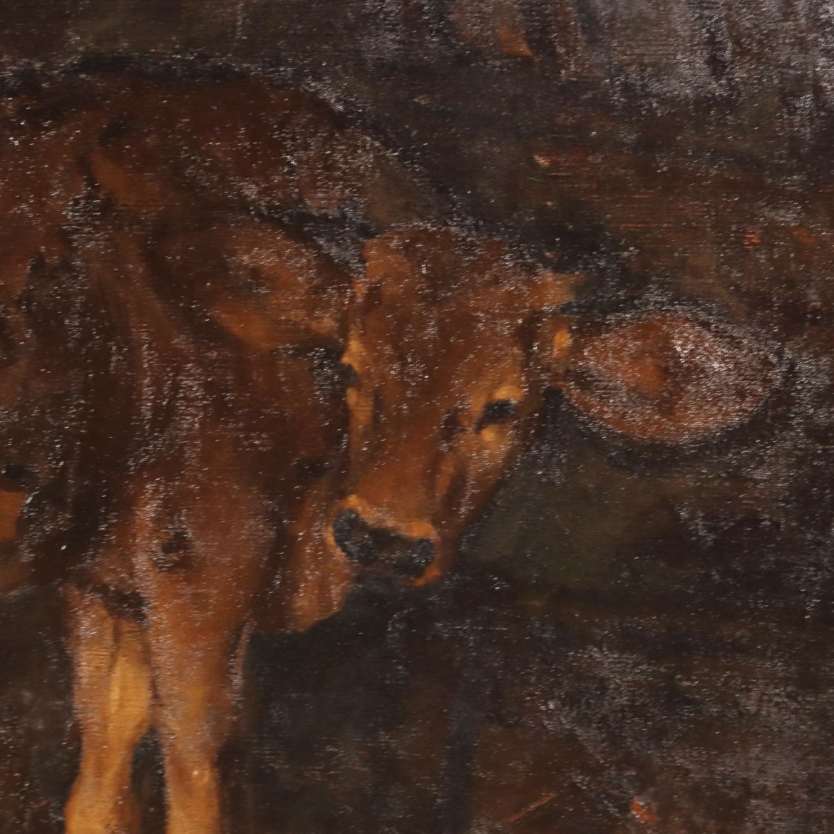 Tableau Ancien G. Sottocornola '800 Interieur d'un Ferme Huile sur Toile-photo-4
