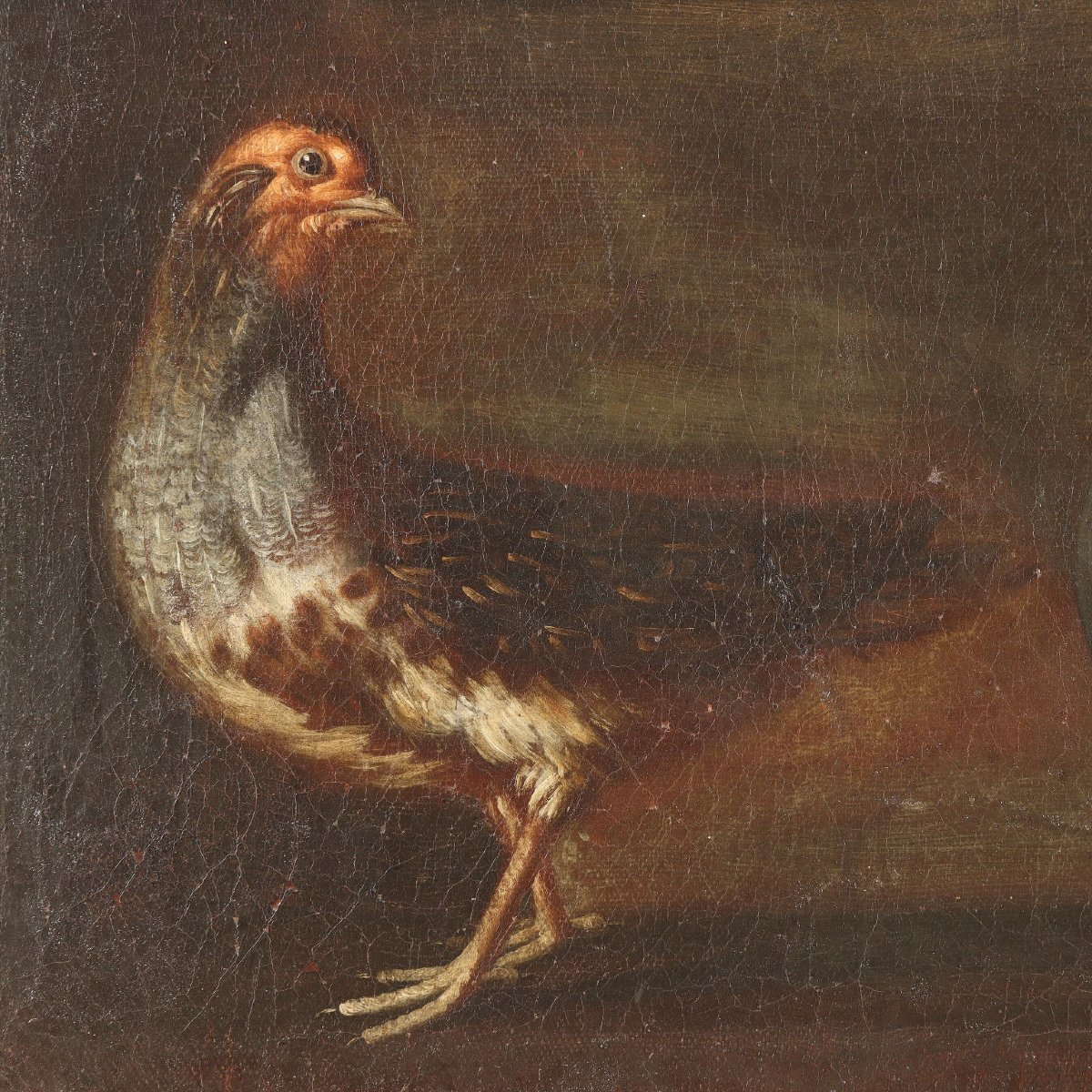 Antique Painting Rabbits And Birds With Game Oil On Canvas XVII Century-photo-3