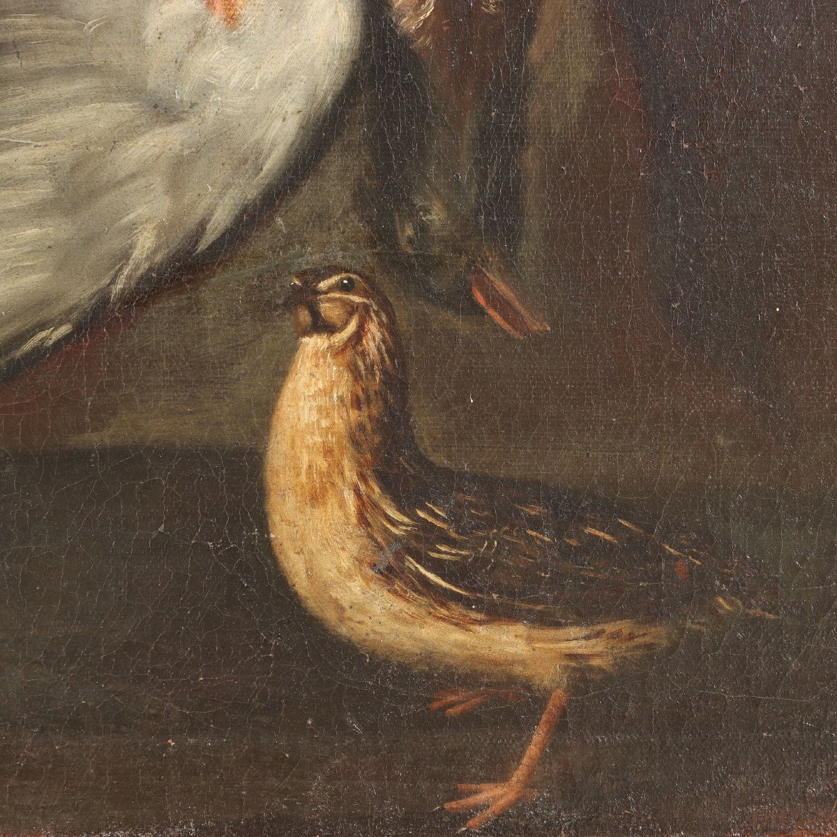 Antique Painting Rabbits And Birds With Game Oil On Canvas XVII Century-photo-3