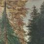 1818447-alb-6aa008c56a798.jpg