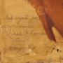 1834524-alb-6ac7940ce876c.jpg