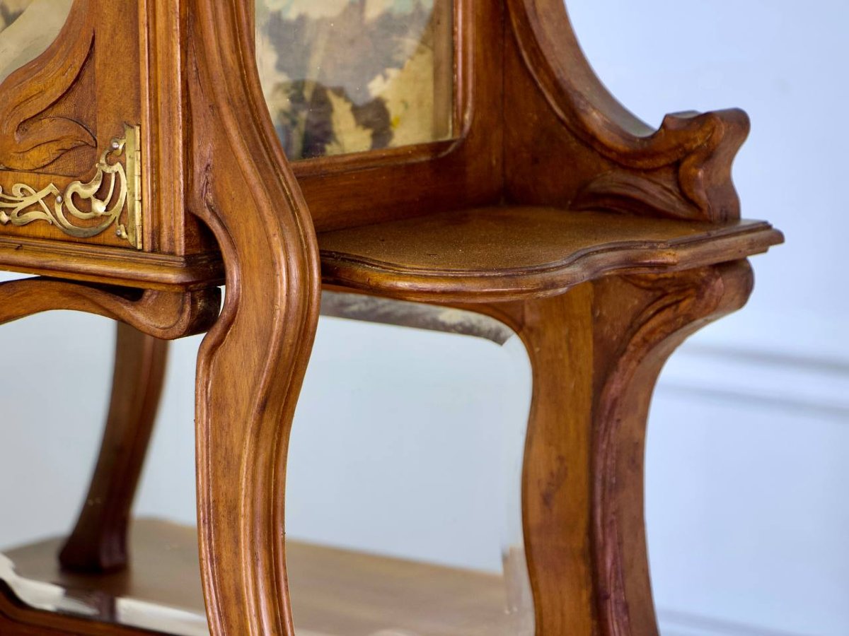 Art Nouveau Display Case 1900-photo-4