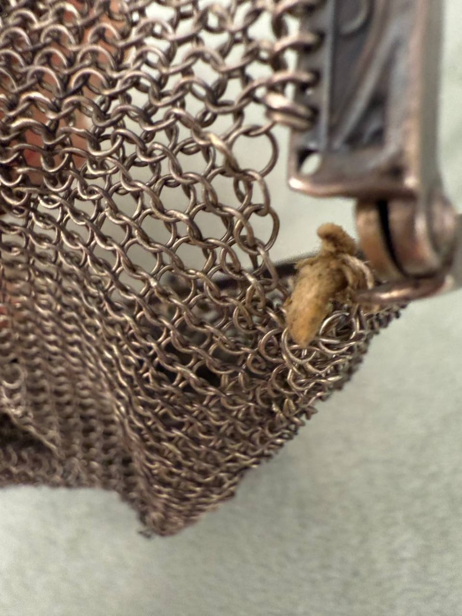 Sac à Main, Bourse , Aumoniere Porte-monnaie Du XIXe, Style Art Nouveau ,en Argent-photo-7