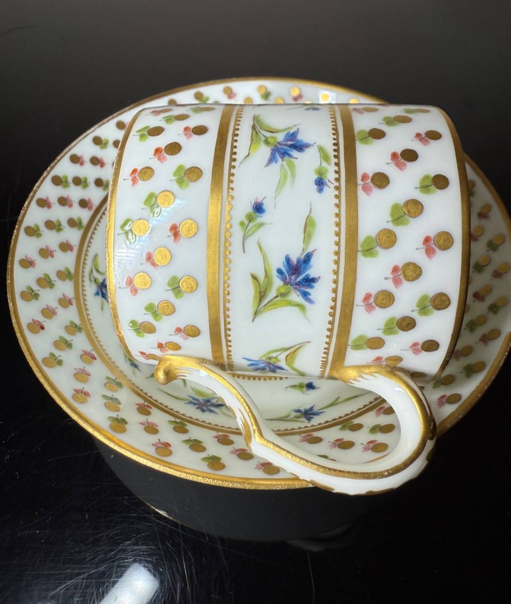 Litron Cup And Saucer, Sèvres Mark In Blue-photo-4