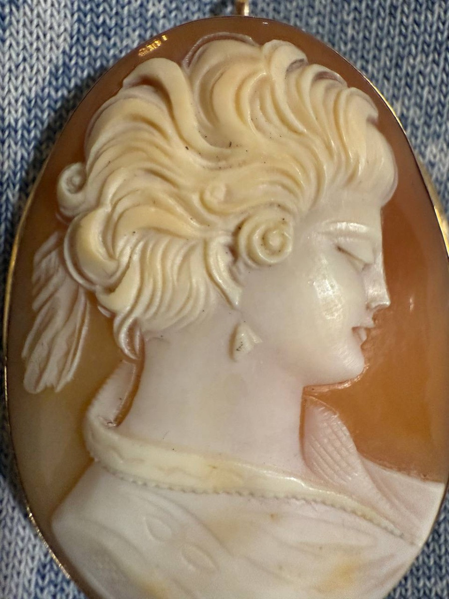 Broche ou pendentif en camée de coquillage, serti en or-photo-2