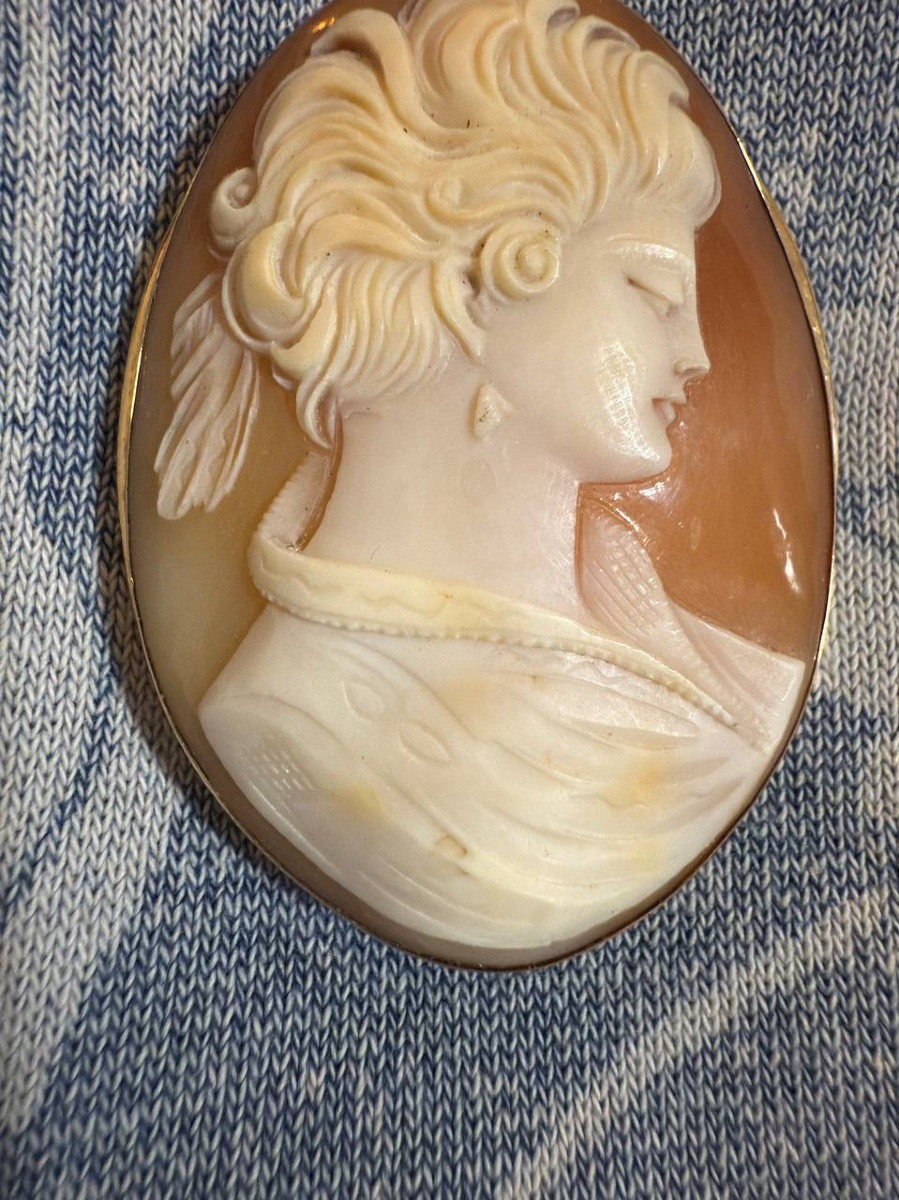 Broche ou pendentif en camée de coquillage, serti en or-photo-3