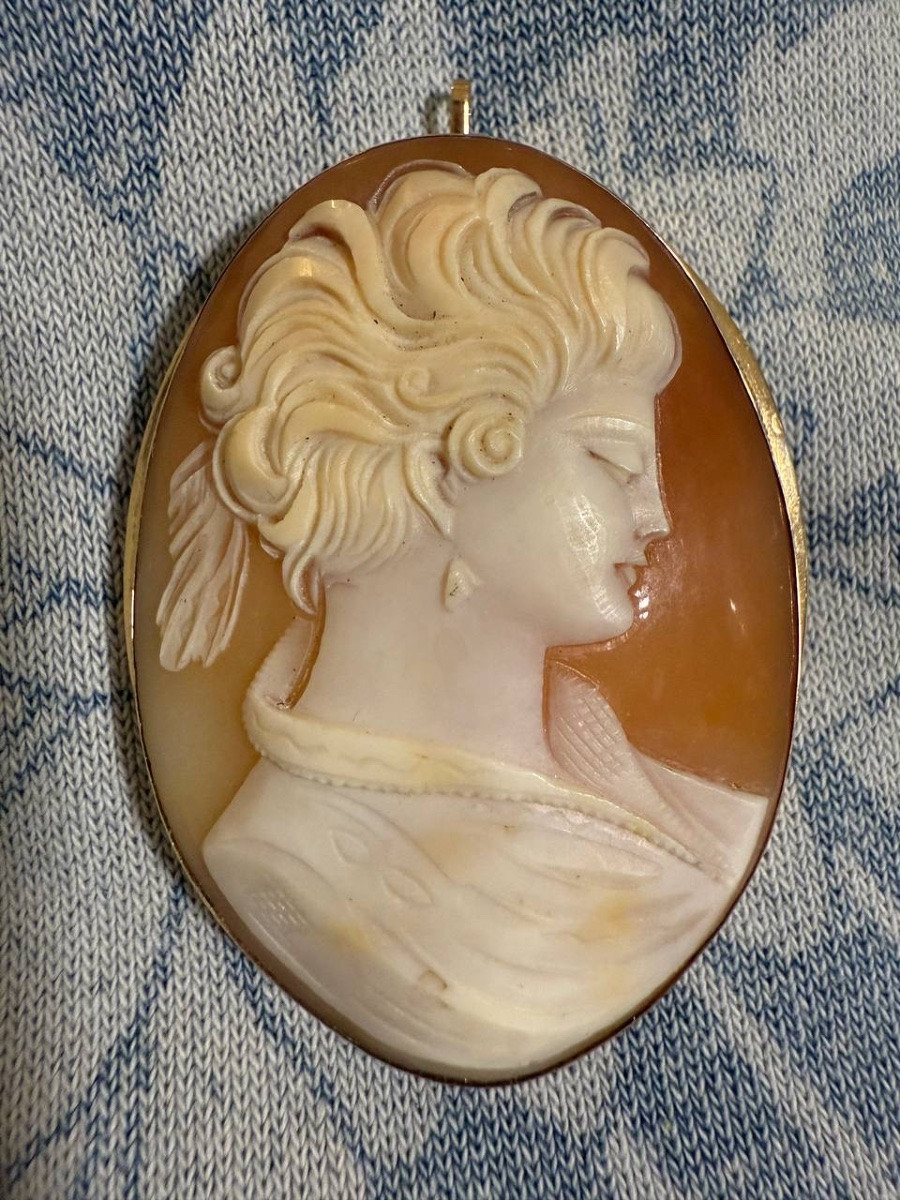 Broche ou pendentif en camée de coquillage, serti en or-photo-4