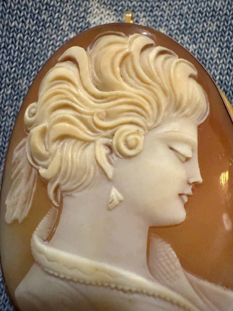 Broche ou pendentif en camée de coquillage, serti en or-photo-2