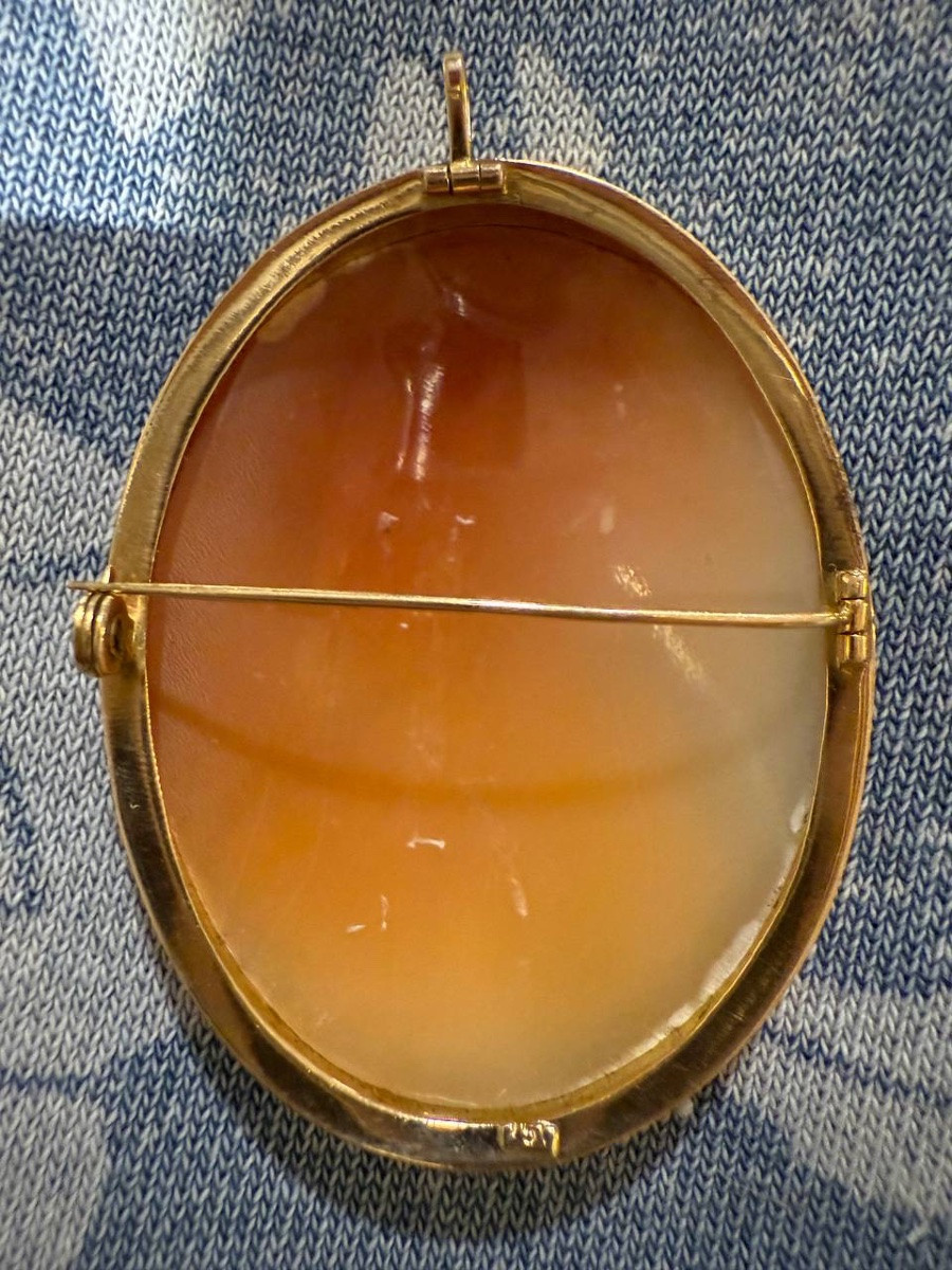 Broche ou pendentif en camée de coquillage, serti en or-photo-4