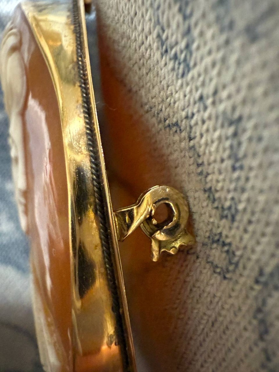 Broche ou pendentif en camée de coquillage, serti en or-photo-5