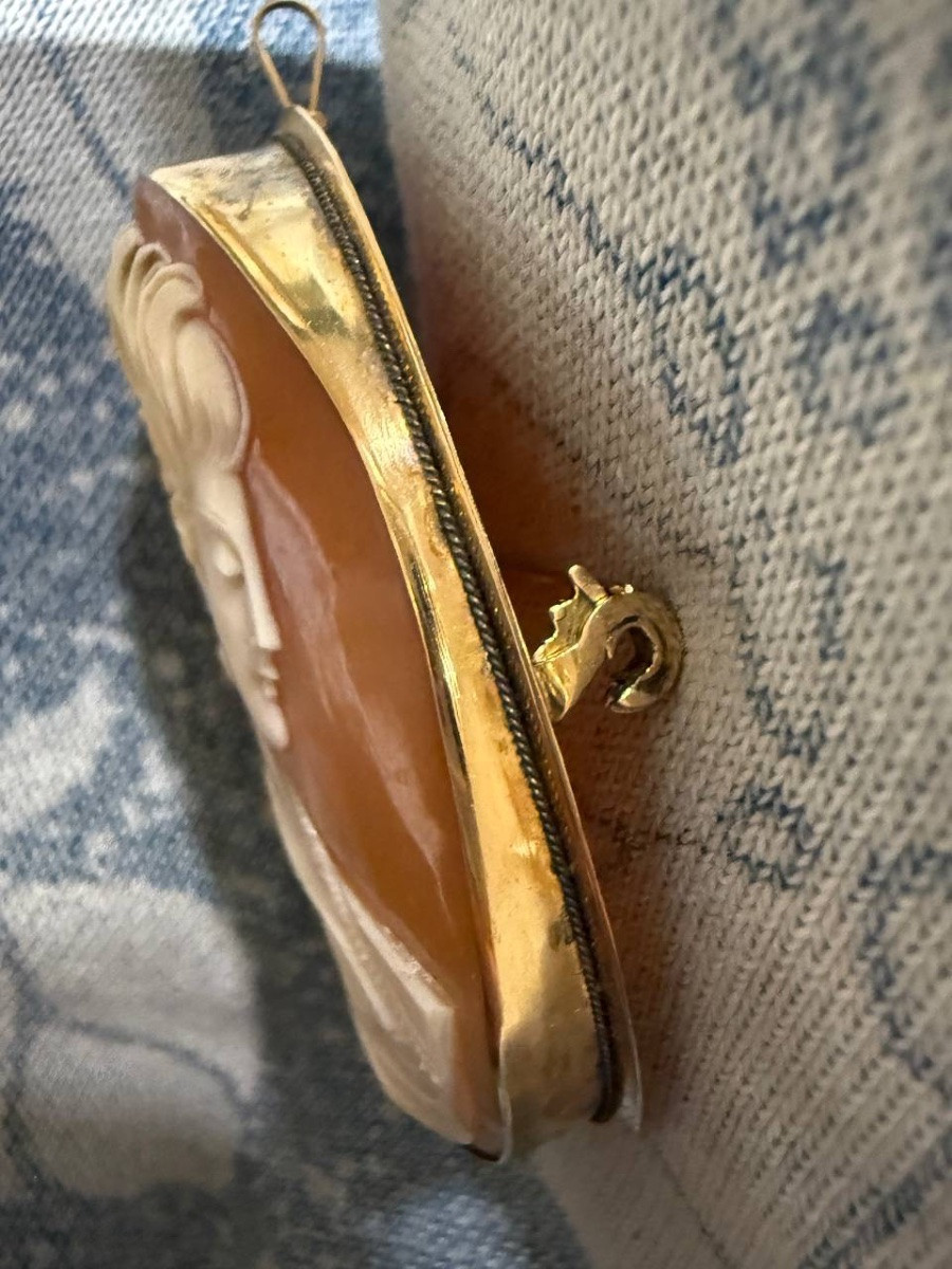 Broche ou pendentif en camée de coquillage, serti en or-photo-7