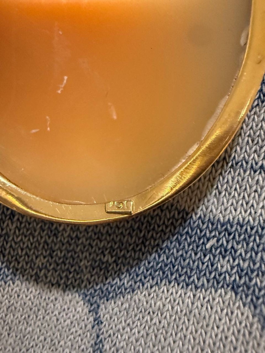 Broche ou pendentif en camée de coquillage, serti en or-photo-8