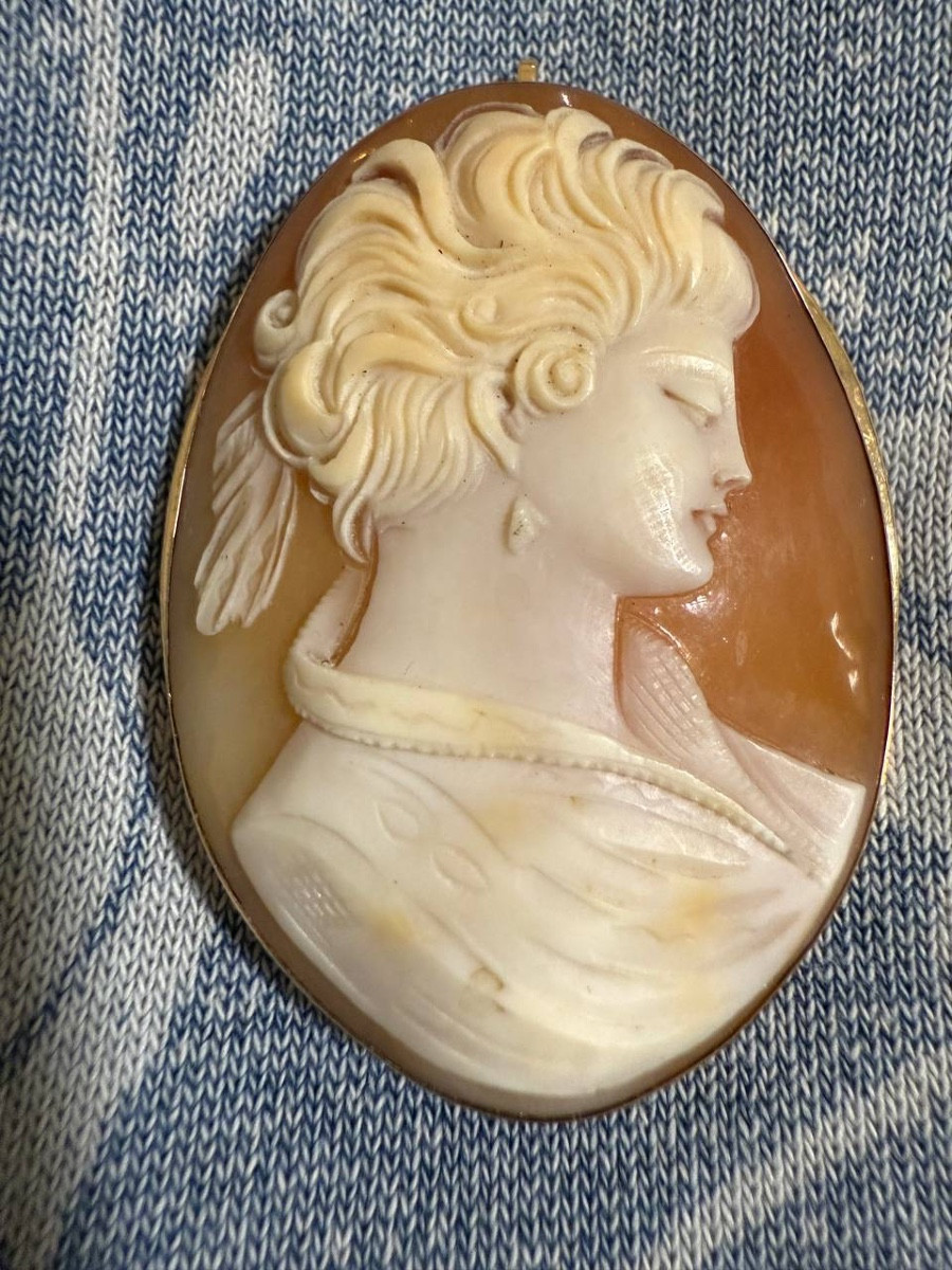 Broche ou pendentif en camée de coquillage, serti en or