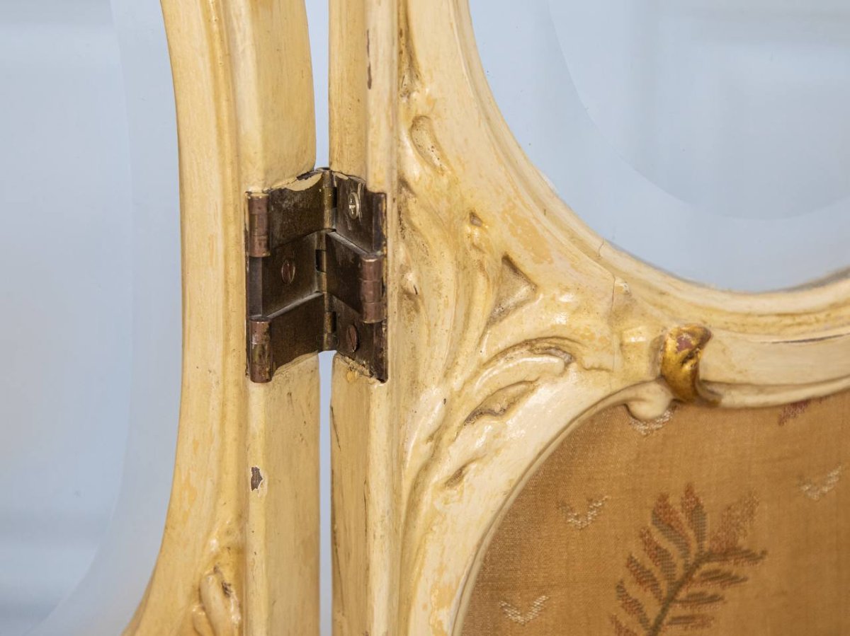 Louis XV Style Screen-photo-3