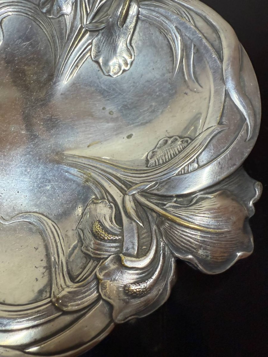 Plat Iris et vigne Art Nouveau Victor Saglier-photo-6