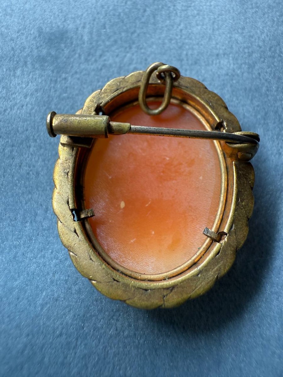 Small Shell Cameo Brooch Pendant-photo-3