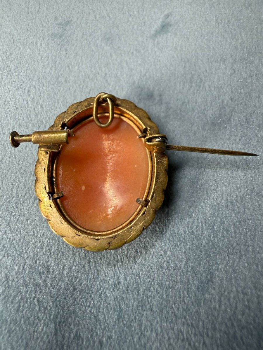 Small Shell Cameo Brooch Pendant-photo-4
