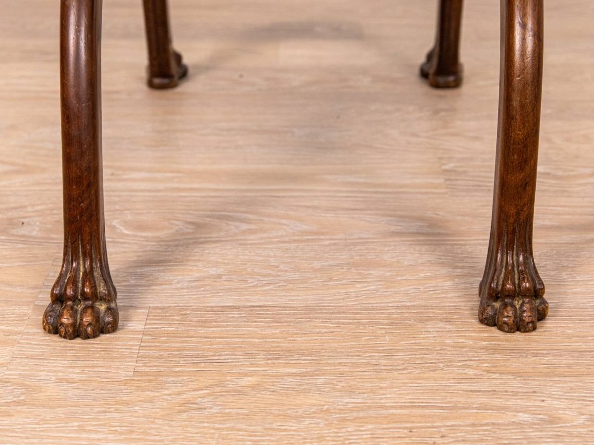 19th-century Curule Stool - Lion's Paw Feet And Swan's Neck Uprights-photo-3
