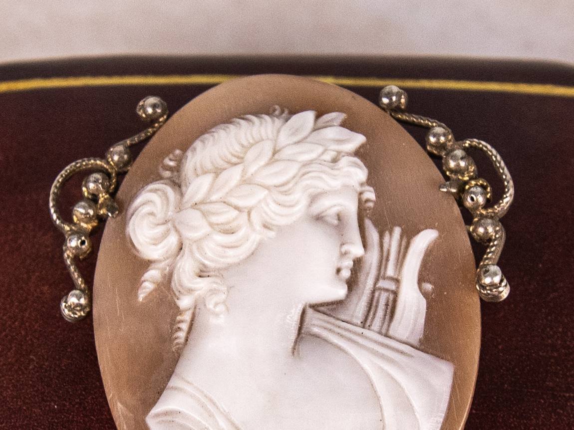 Shell Cameo Brooch/pendant-photo-2