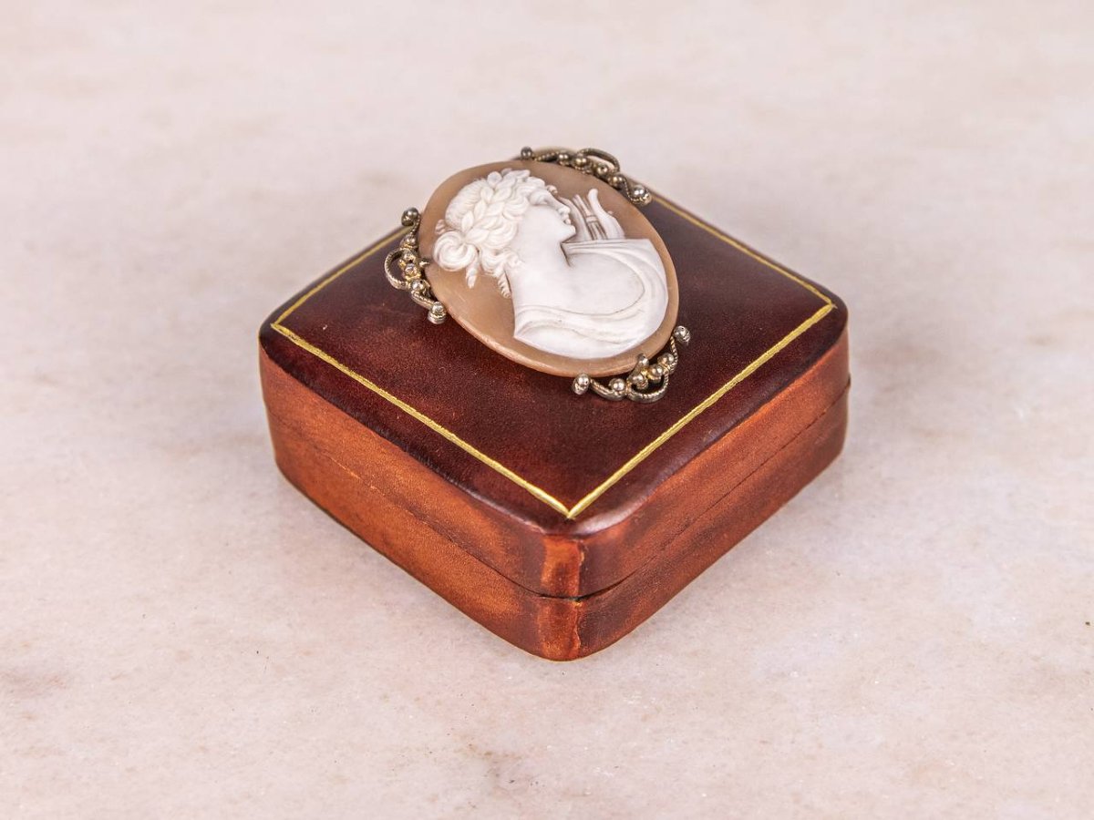 Shell Cameo Brooch/pendant-photo-3