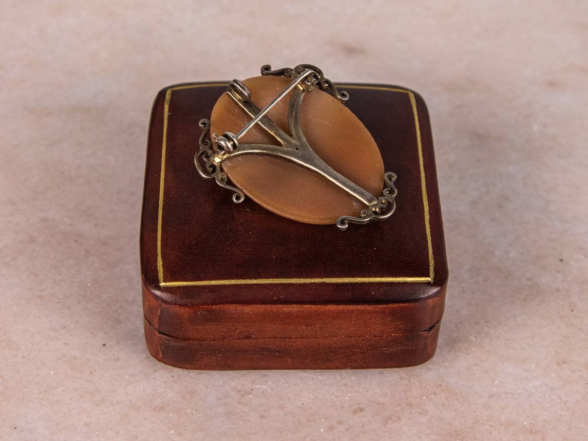 Shell Cameo Brooch/pendant-photo-5