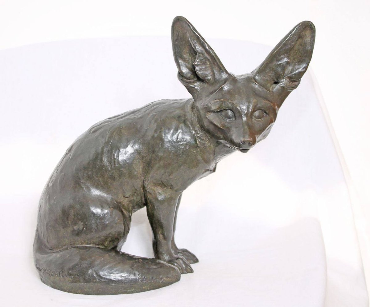 Fennec assis tête tournée , Edouard-Marcel Sandoz-photo-2