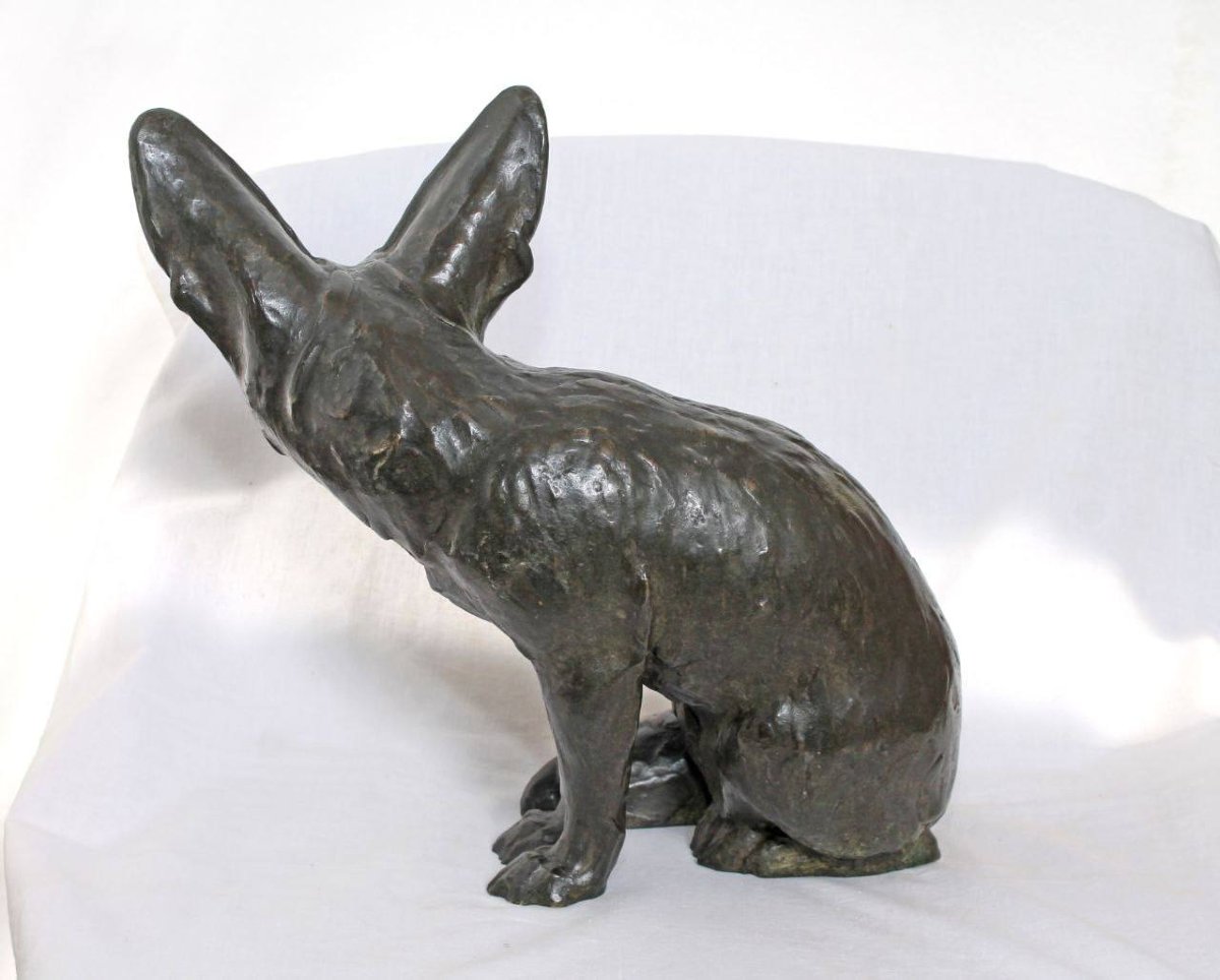 Fennec assis tête tournée , Edouard-Marcel Sandoz-photo-3