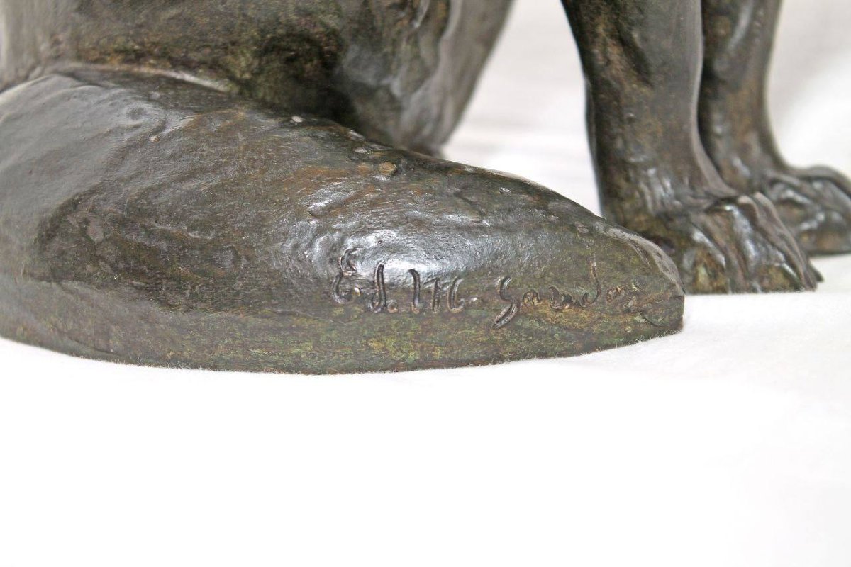 Fennec assis tête tournée , Edouard-Marcel Sandoz-photo-4