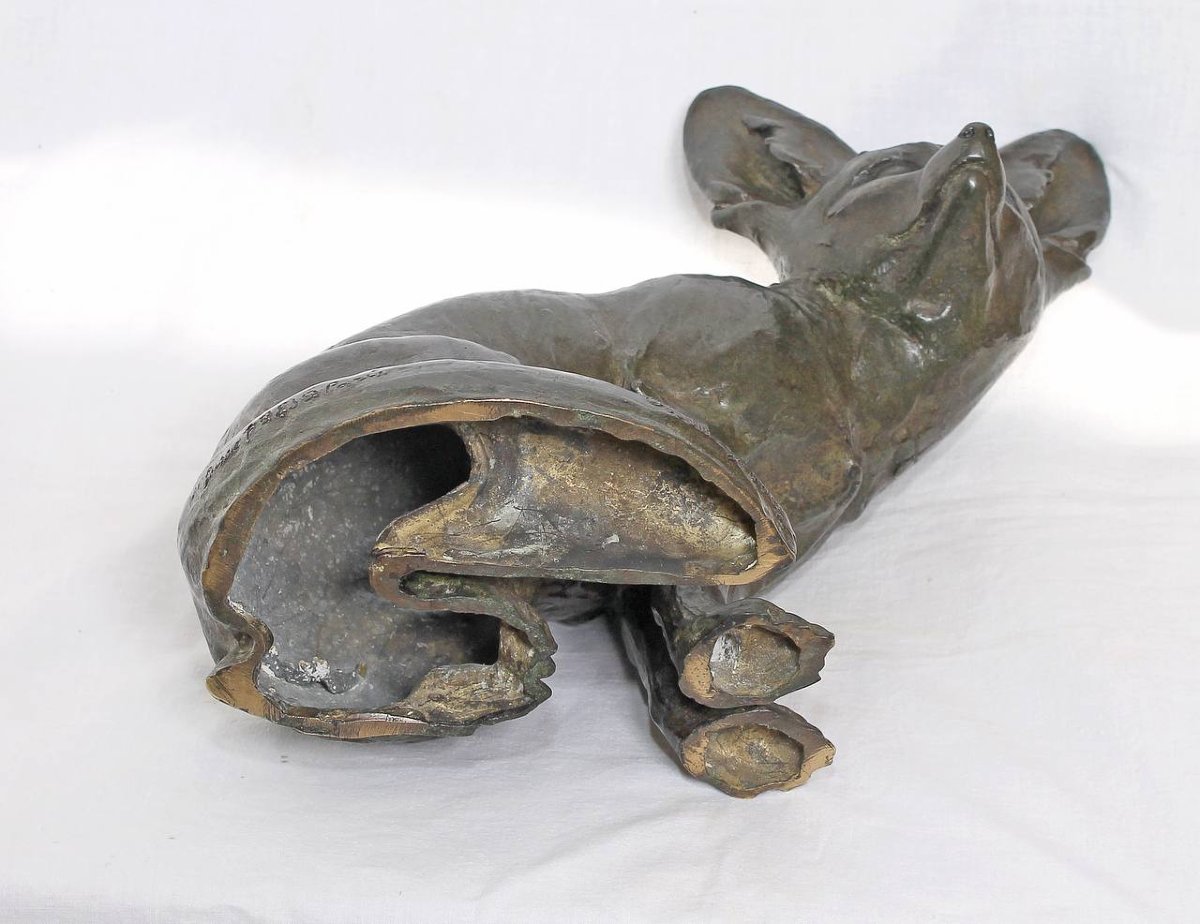 Fennec assis tête tournée , Edouard-Marcel Sandoz-photo-2