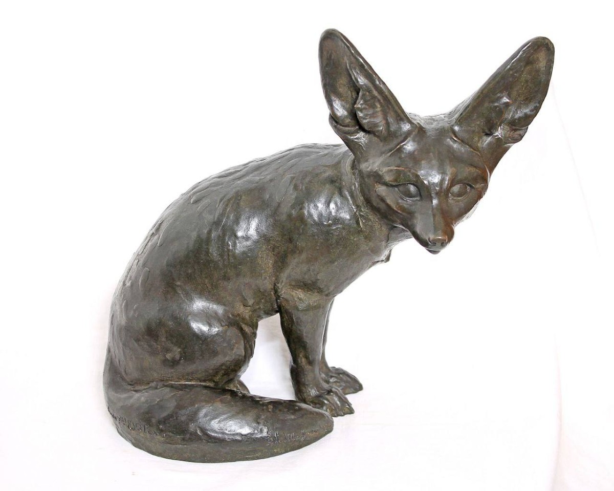 Fennec assis tête tournée , Edouard-Marcel Sandoz