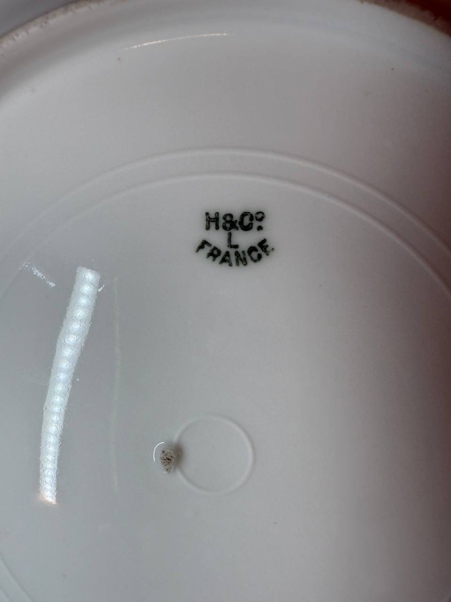 Limoges Porcelain Plate Decorated With Birds And Flowers-photo-7