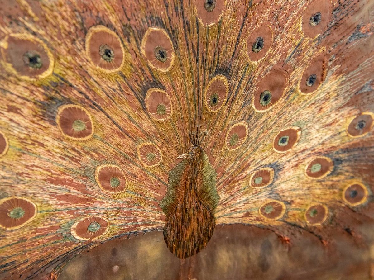 ÉCRAN DE CHEMINÉE PARE FEU, PARE ÉTINCELLES-photo-2