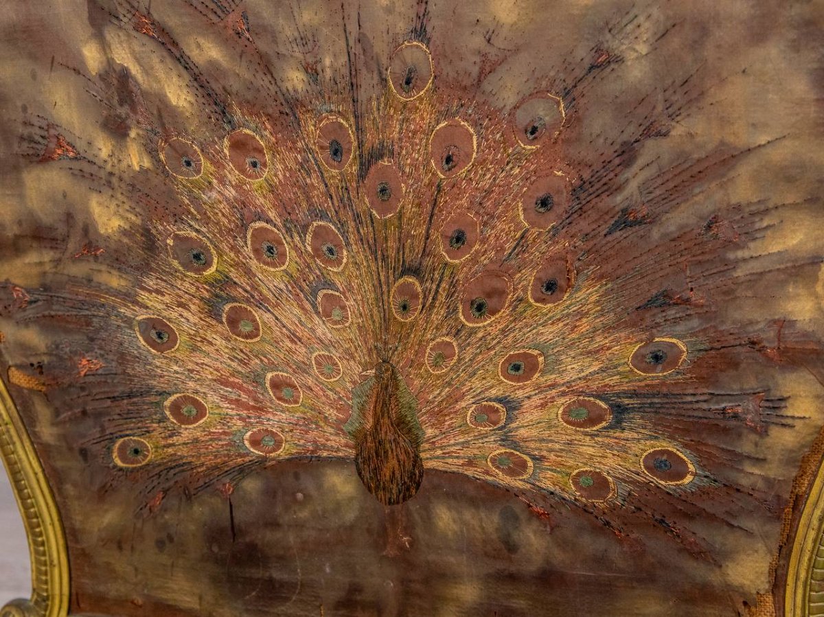 ÉCRAN DE CHEMINÉE PARE FEU, PARE ÉTINCELLES-photo-8