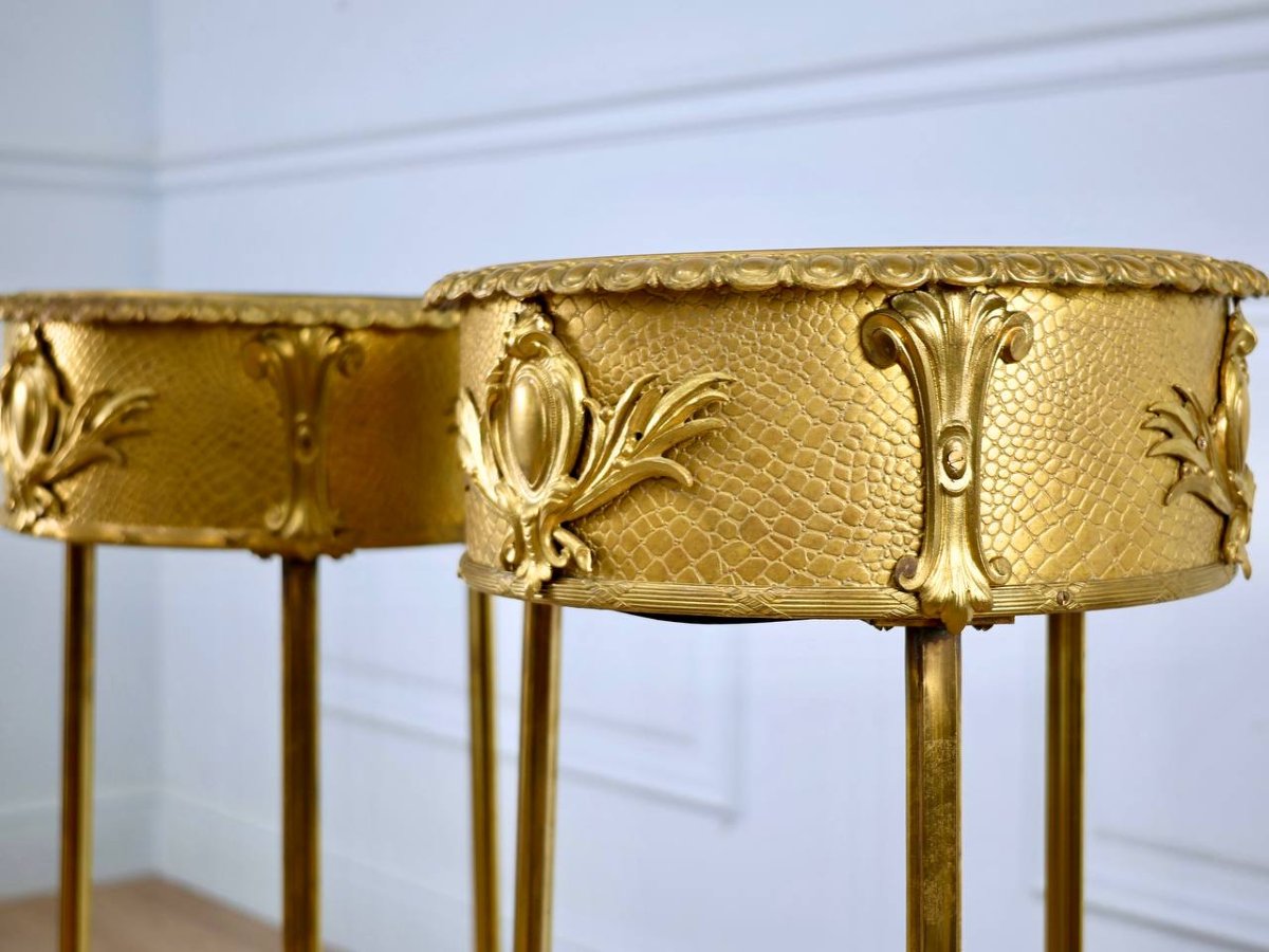 Pair Of Bronze And Brass Floor-standing Planters-photo-3