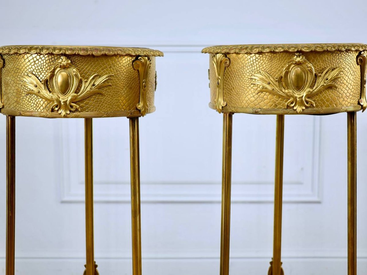 Pair Of Bronze And Brass Floor-standing Planters-photo-4