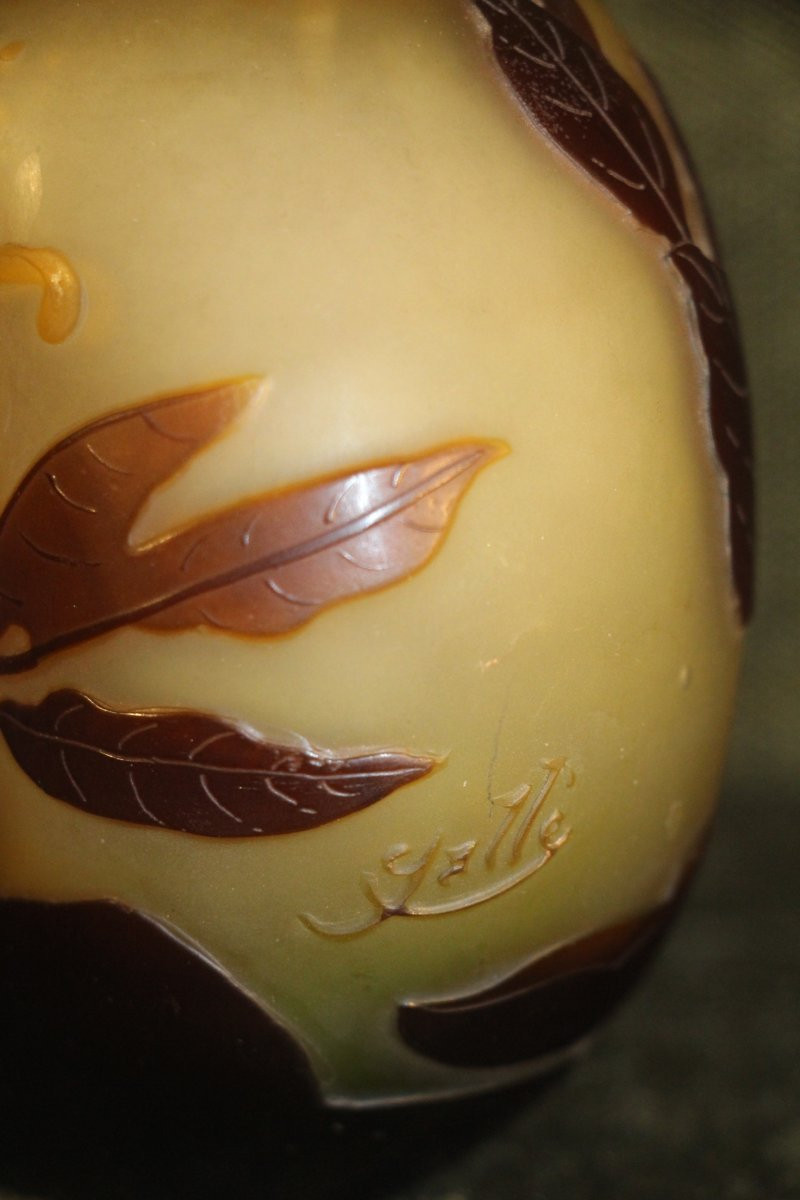 Emile Gallé (1846-1904) - Vase gourde à décor de fleurs de lys sauvages.-photo-5