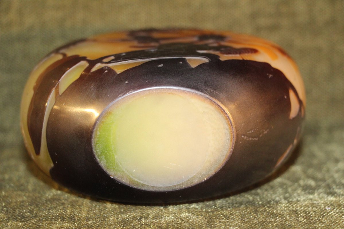 Emile Gallé (1846-1904) - Vase gourde à décor de fleurs de lys sauvages.-photo-6