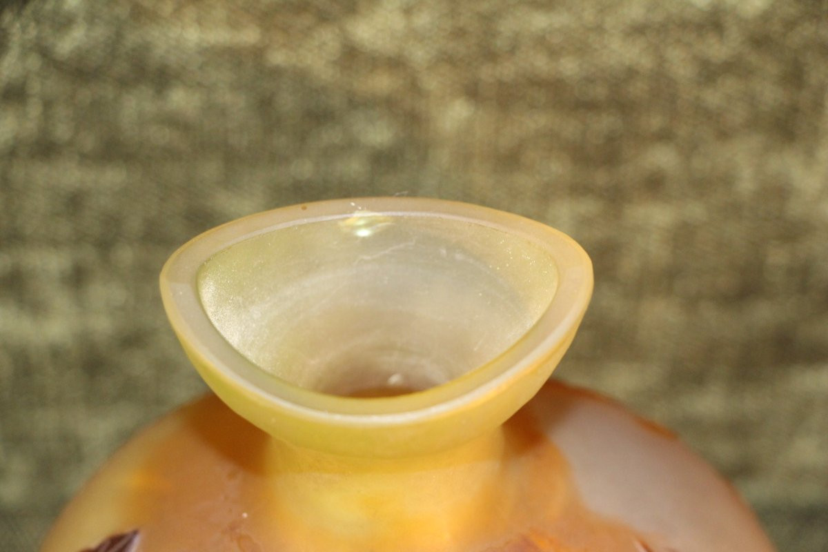 Emile Gallé (1846-1904) - Vase gourde à décor de fleurs de lys sauvages.-photo-7