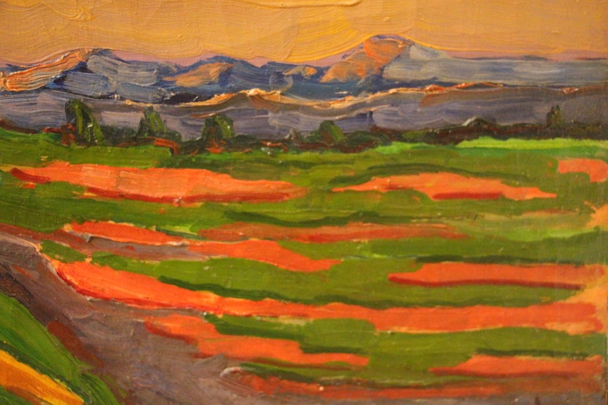 Landscape, René Seyssaud (1867–1952), A Pioneer Of Fauvism.-photo-7
