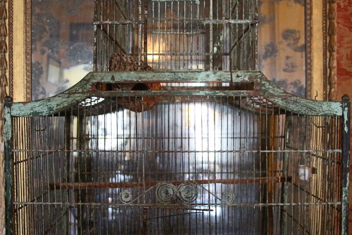 Rare Cage Birds, Form Pagoda, Louis XV, Second Half Of The Eighteenth Century-photo-6