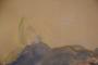 1778777-alb-6a2ff11fbea1f.jpg