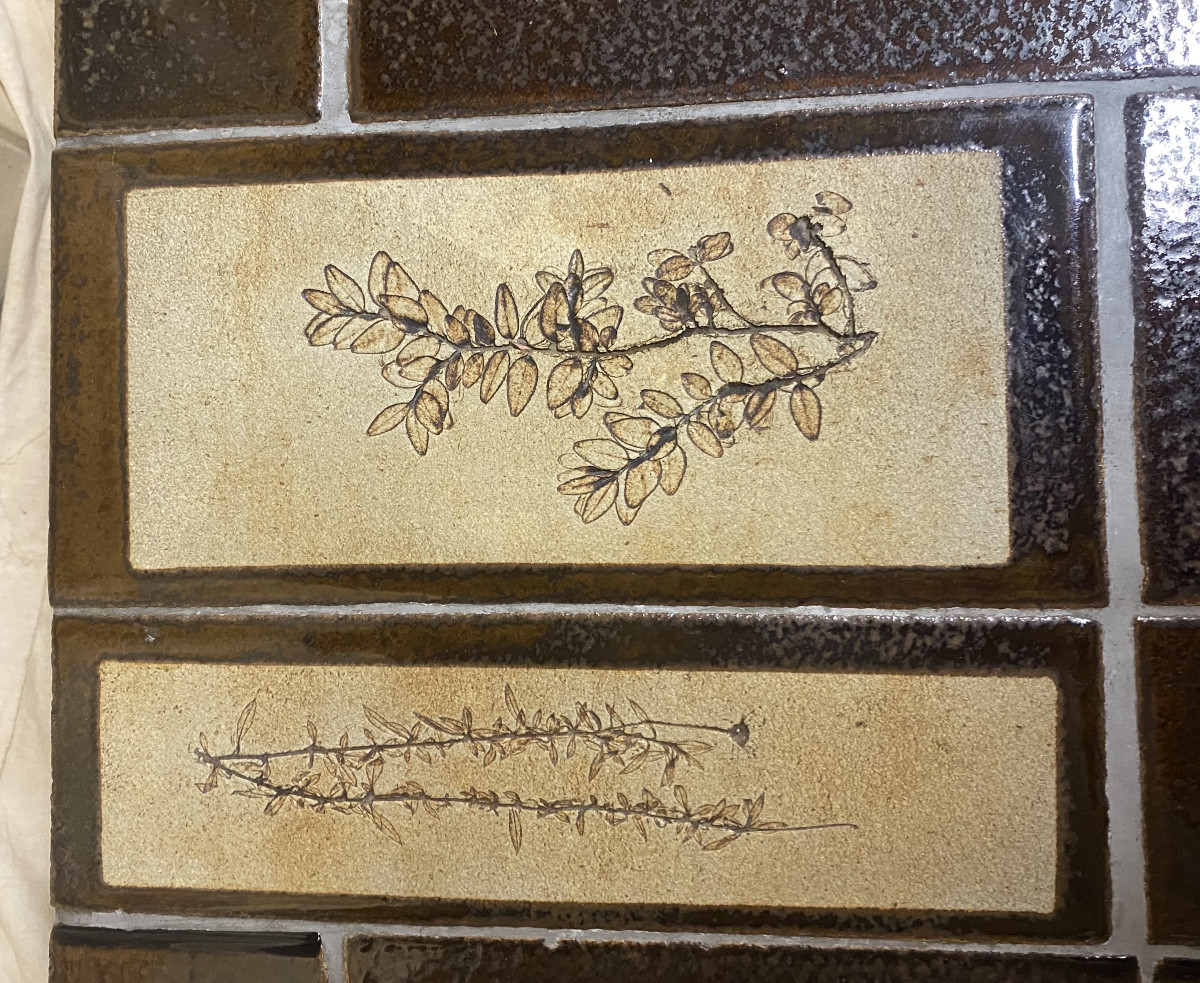 Table de salon Roger Capron modèle herbier -photo-2