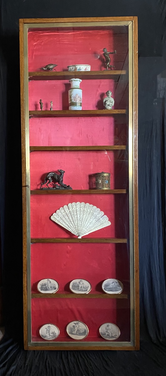 Wall-mounted Or Freestanding Display Case For A Collection 