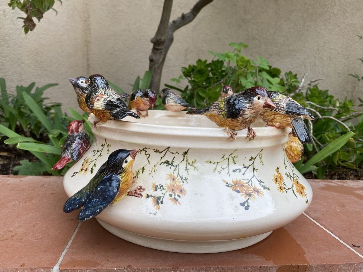 Jardinière aux oiseaux -photo-3