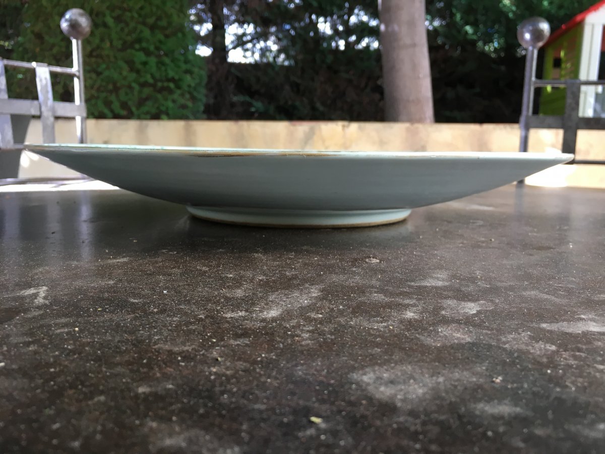 Large Porcelain Dish From China 19th-photo-2