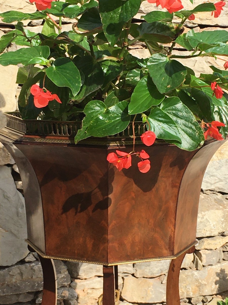 Rare Empire Period Planter-photo-5