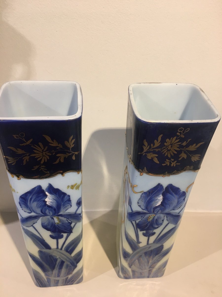 Paire De Vases Aux Iris En Opaline-photo-4